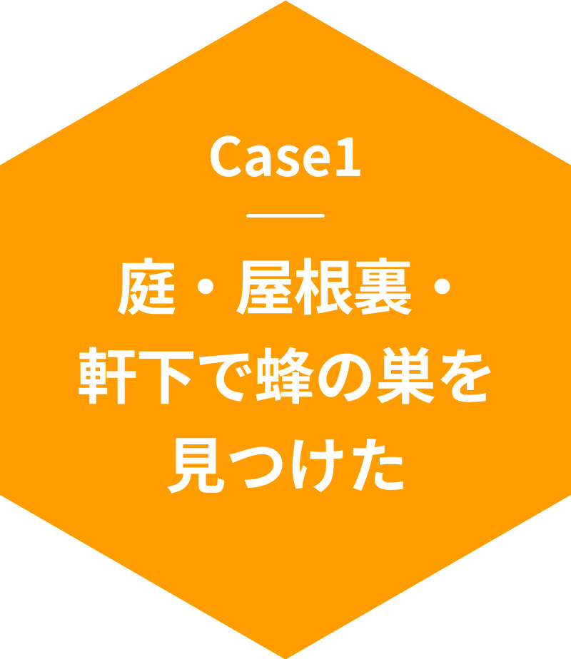 Case1庭・屋根裏・軒下で蜂の巣を見つけた