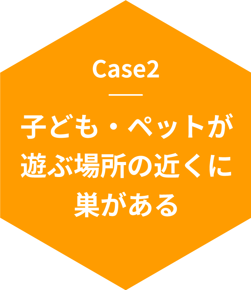 Case2子ども・ペットが遊ぶ場所の近くに巣がある