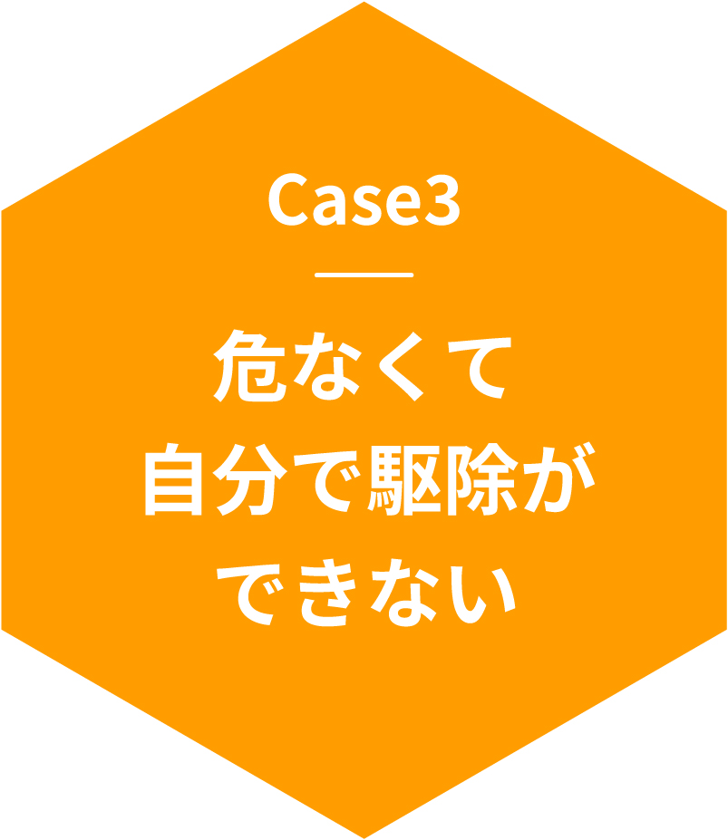 Case3危なくて自分で駆除ができない